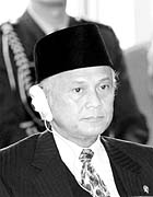 Phó Tổng thống Habibi