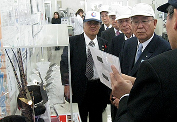 xem bóng đá trực tiếp k pm