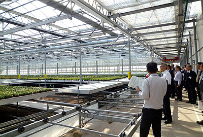 xem bóng đá việt nam uae việt nam uae