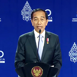 xem đá bóng trực tuyến
