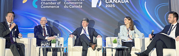 xem bóng đá trực tiếp k pm